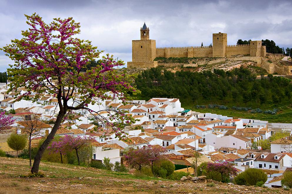 CRUCEROS EN TREN ANDALUCIA TREN AL ANDALUS CRUCEROS SOBRE RAILES CRUCEROS EN TREN TRENES DE LUJO RENFE FEVE CRUCEROS SUR DE ESPAÑA CRUCEROS TERCERA EDAD VIAJES DE LUJO CRUCEROS EN TREN AL ANDALUS ANTEQUERA ALCAZABA